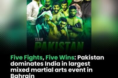 Five Fights, Five Wins: